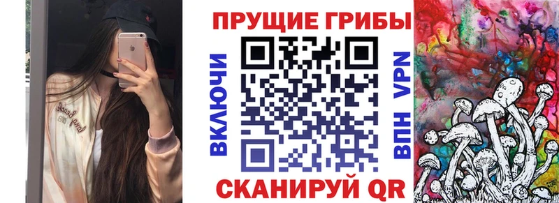 blacksprut как зайти  Мосальск  Псилоцибиновые грибы Magic Shrooms 